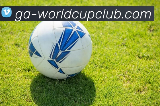 世界杯官网APP 体育赛事宣传图